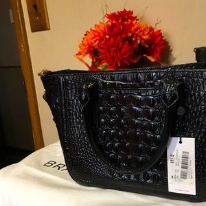 small Ashley Brahmin